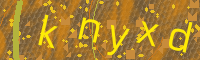 Visual Confirmation Code